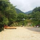 평창민박 Daum카페