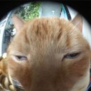 약속의 바다 이미지