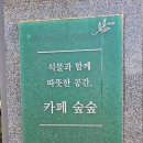 [부천 작동카페][까치울역 카페] 까치울역 카페거리 애견동반 가능 꽃이 있는 식물카페 '숲숲'