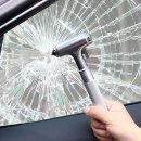 올리브 안전 이미지