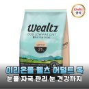 바른독 | 눈물 자국 걱정 끝 이리온몰 웰츠 어덜트 독으로 우리 강아지 건강 챙기기