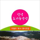 안성 도기동산성 / 이철우 동시조집 (전자책) 이미지