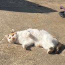 연수구 보건소 | 🚭 금연 3달 차_ 참았을 뿐인데, 칭찬과 선물을 받다! (인천 연수보건소 금연클리닉 후기)