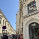 누메로 | 프랑스 파리 누메로 눼프 미니 폴렌느 구매, 웨이팅 후기