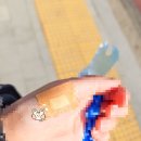 파린두스 이미지