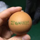 새날농장 이미지