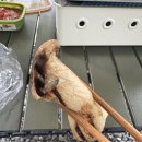 왕성축산 | 화음동 펜션, 캠핑장 사이트 대여 : 강원도 화천 화음동 계곡