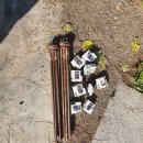 병환농장 이미지