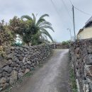 신촌향사 이미지