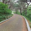 장수민박 이미지