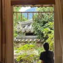[여행/전라남도］3일차 - 여수, 구례, 임실(로타리식당→구례 쌍산재→구례 화엄사→임실 치즈온)
