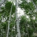 산속농원 이미지