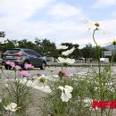 원통 중앙공원 이미지