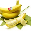 바나나짐 휘트니스 이미지