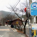 삼육구농장 티스토리