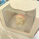 베리멍 | 하남애견수제간식 맛집 깔끔하고 고퀄리티 강아지수제간식 베리멍