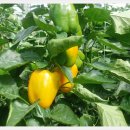 거제면사무소 이미지