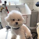 홍글몽글 이미지