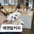 에멘탈커피 - 서구 푸른로16번길 9 | 청라 애견동반 카페 에멘탈커피ㅣ두쫀쿠·멍푸치노가 있는 디저트 카페