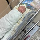 강동경희대학교의대병원 | [출산 기록] 강동경희대병원 선택 제왕절개 후기 : 38주 3일 전원 출산 (고혈압 임산부/비예기항체 양성...