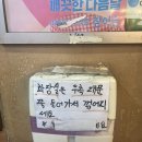 해가쭈꾸미