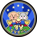 별빛멍냥 이미지