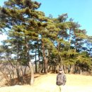 백곡초 성대분교 이미지