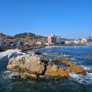 스테이다시올게 이미지