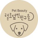 뽀송하개 애견미용 이미지