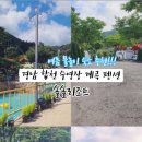 솔솔리조트 이미지