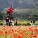 송학동-07 이미지