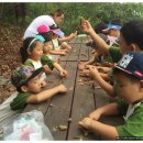 목감퍼스트어린이집 이미지