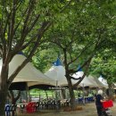 동막골 유원지 협동조합 이미지