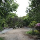 캠핑어클락 이미지