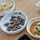 진도포항횟집참치 이미지