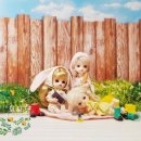 묘냥묘냥 이미지