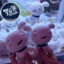 힐링수납정리 | [부산 정리수납 컨설팅 후기] 새해맞이 내 집 정리💜