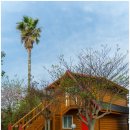 물댄동산 통나무펜션 이미지