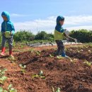 지민농장 이미지