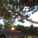 구룡황토펜션 이미지