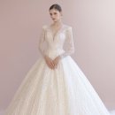 비비드짐 | [결혼일기 #7]-비즈맛집으로 유명한 비비드블랑/크리드제이 드레스 투어 후기 및 당일계약 혜택