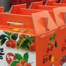 (주)농업회사법인 수림농원애 네이버블로그