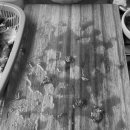 소사38소갈비살 이미지