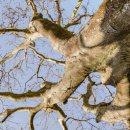 무릉1리마을회관 이미지