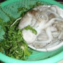 쉼터민박 이미지