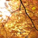 우보한의원 이미지