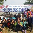 솜니움트리 이미지