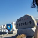 일대농장(1) | 고창 투어 [고창, 광주, 담양, 전라도 그 일대 근방]