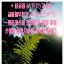 부효사 이미지