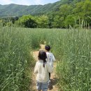 산정목장 네이버블로그